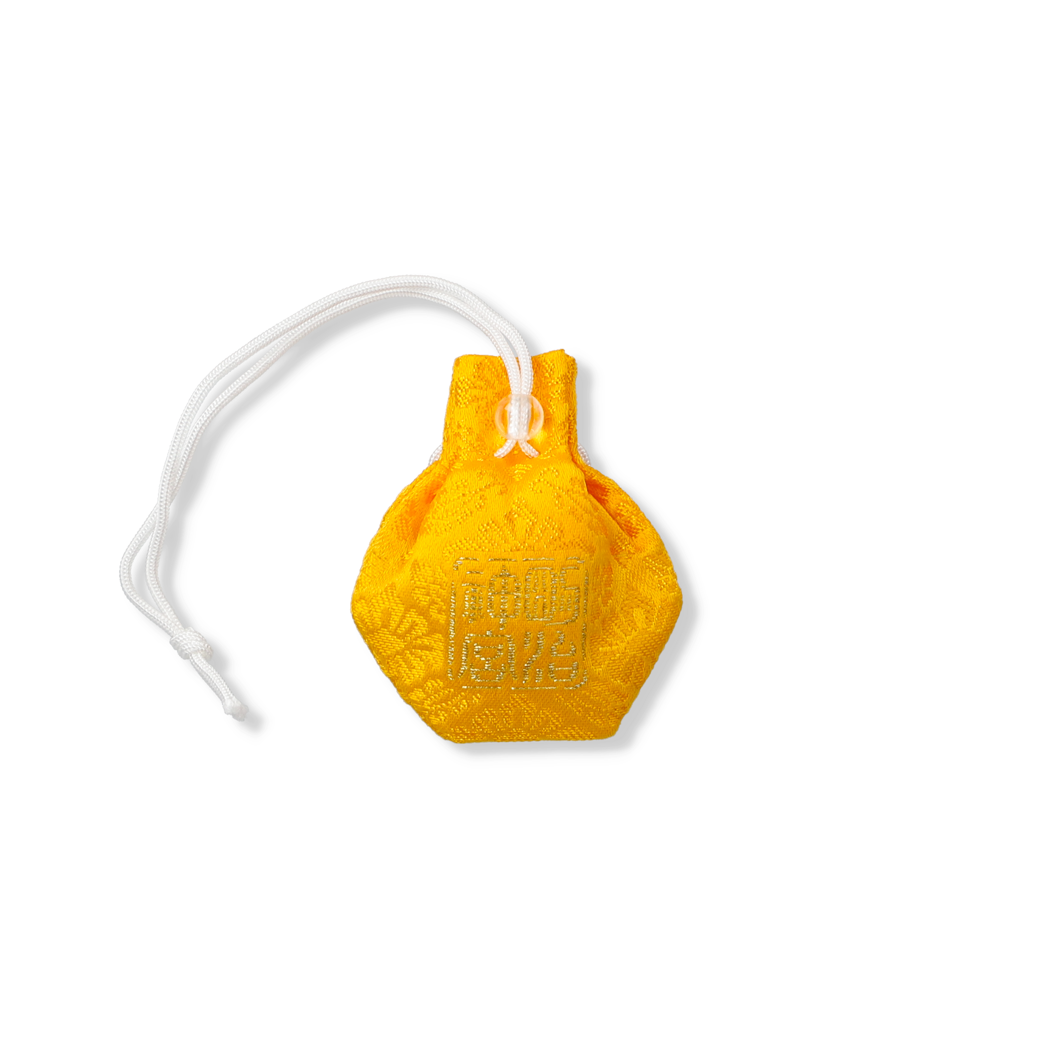 General Blessing (Meiji Jingu / Tokyo)